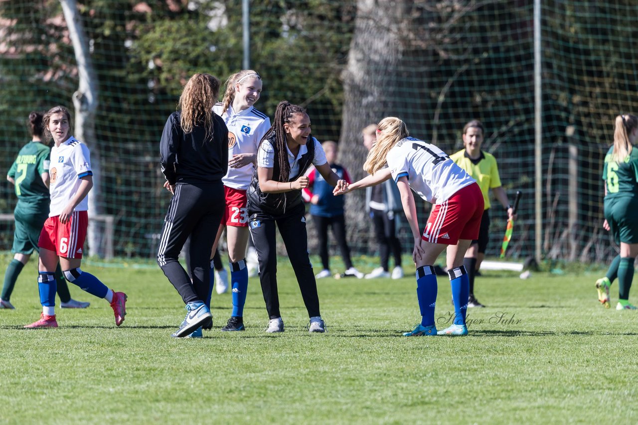 Bild 317 - wBJ Hamburger SV - WfL Wolfsburg : Ergebnis: 2:1